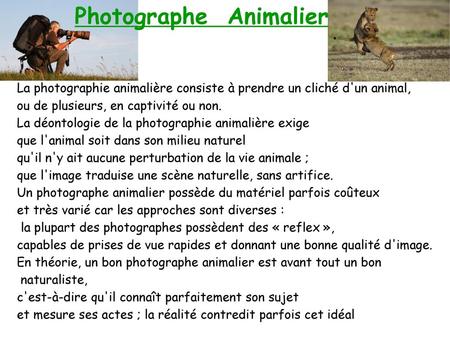 Photographe Animalier
