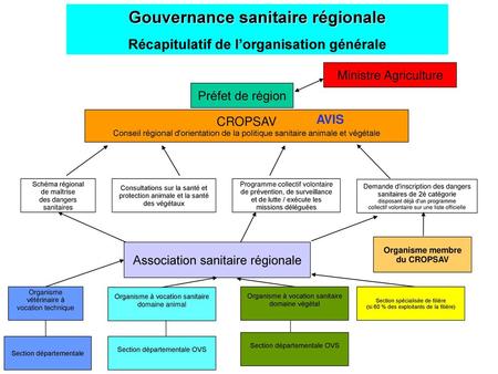 Gouvernance sanitaire régionale