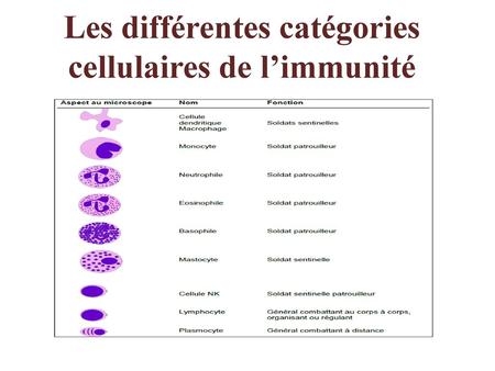 Les différentes catégories cellulaires de l’immunité