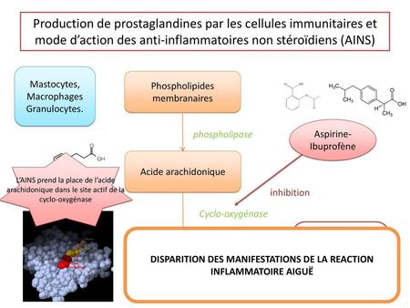 DISPARITION DES MANIFESTATIONS DE LA REACTION INFLAMMATOIRE AIGUË