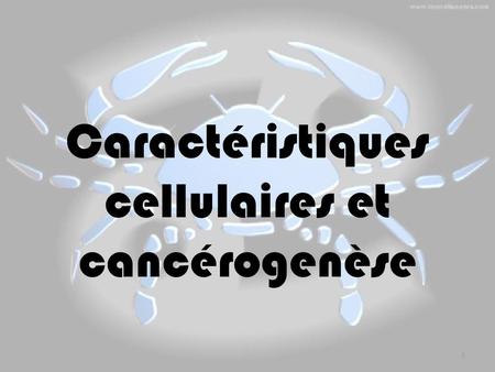 Caractéristiques cellulaires et cancérogenèse