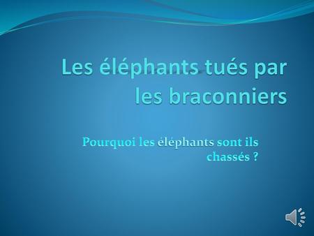 Les éléphants tués par les braconniers