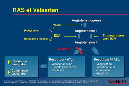 RAS et Valsartan Angiotensinogènes Angiotensine I ECA Angiotensine II
