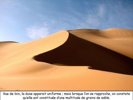 Vue de loin, la dune apparait uniforme ; mais lorsque l’on se rapproche, on constate qu’elle est constituée d’une multitude de grains de sable.