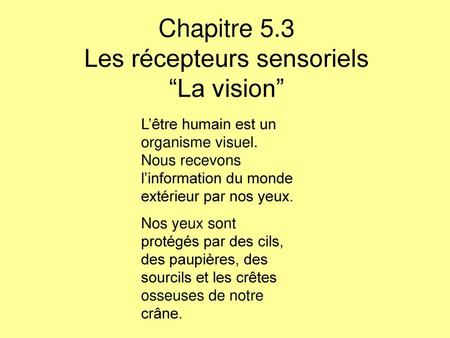 Chapitre 5.3 Les récepteurs sensoriels “La vision”