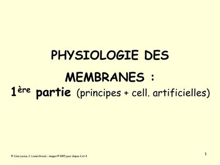 PHYSIOLOGIE DES MEMBRANES : 1ère partie (principes + cell