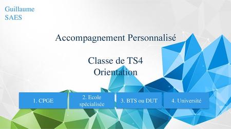 Accompagnement Personnalisé Classe de TS4 Orientation