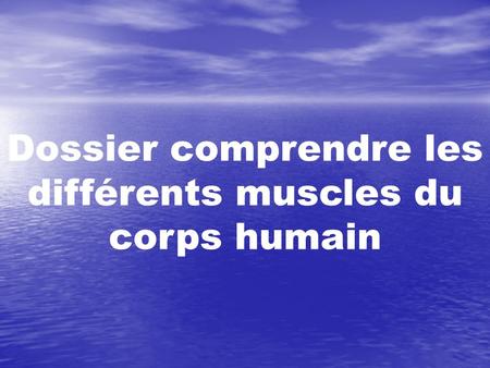 Dossier comprendre les différents muscles du corps humain.