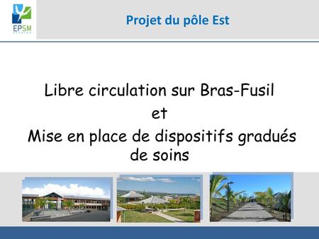 Projet du pôle Est Libre circulation sur Bras-Fusil et Mise en place de dispositifs gradués de soins.