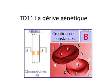 TD11 La dérive génétique  .