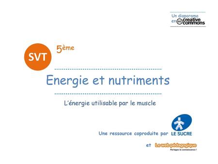 5ème SVT Energie et nutriments L’énergie utilisable par le muscle.