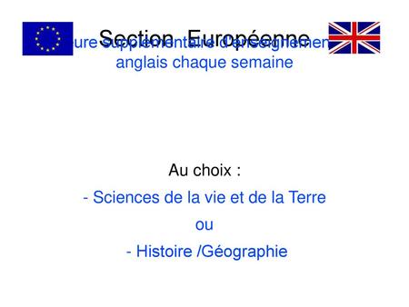 Section Européenne 1 heure supplémentaire d'enseignement en anglais chaque semaine Au choix : - Sciences de la vie et de la Terre ou - Histoire /Géographie.