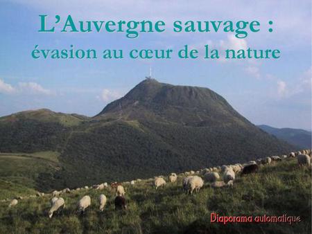 L’Auvergne sauvage : évasion au cœur de la nature