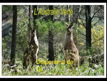 L'Australie Verte Diaporama de Gi.