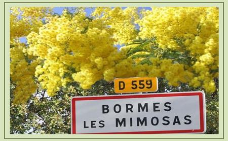 Vieux village de Bormes Les Mimosas