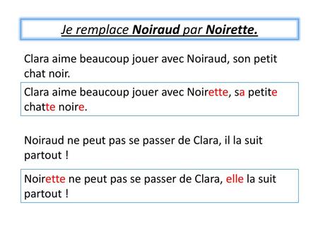 Je remplace Noiraud par Noirette.