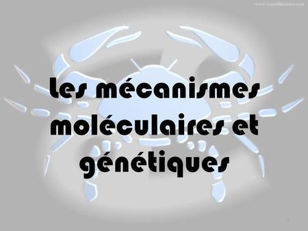 Les mécanismes moléculaires et génétiques