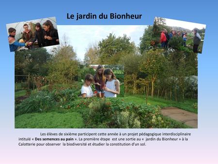 Le jardin du Bionheur Les élèves de sixième participent cette année à un projet pédagogique interdisciplinaire intitulé « Des semences au pain ». La première.