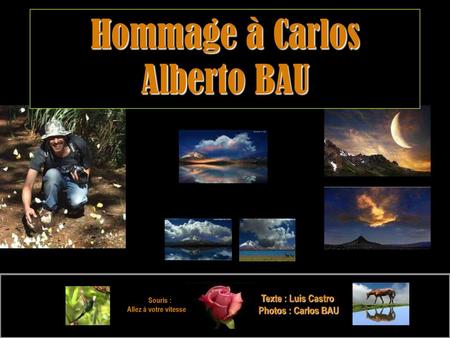 Hommage à Carlos Alberto BAU