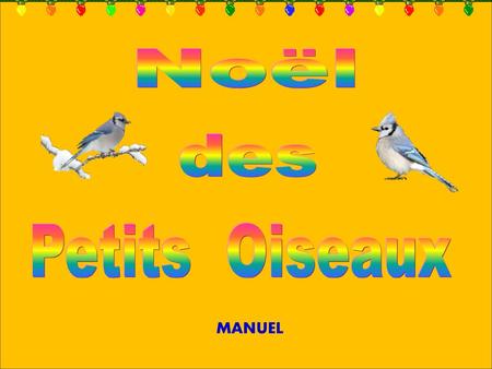 Noël des Petits Oiseaux MANUEL.