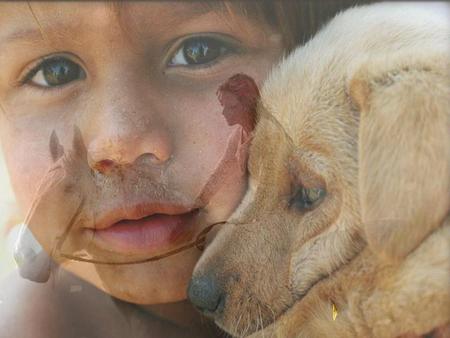 Le bonheur c'est... De savoir s’émerveiller peu importe son âge De rire de bon coeur en agréable compagnie De savoir dire « je t’aime » De se planifier.