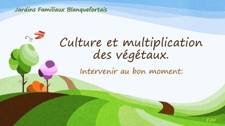 Culture et multiplication des végétaux.