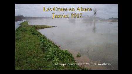 Les Crues en Alsace Janvier 2017