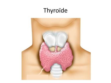 Thyroïde.