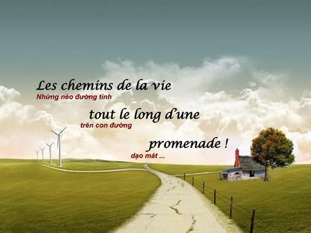 Les chemins de la vie tout le long d’une promenade !