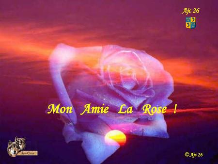 Ajc 26 Mon Amie La Rose ! © Ajc 26.