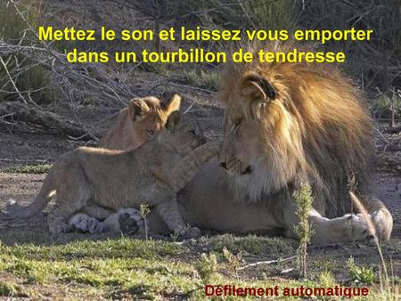 Marie Laforet La Tendresse Cliquez Ppt Telecharger