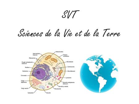 SVT Sciences de la Vie et de la Terre