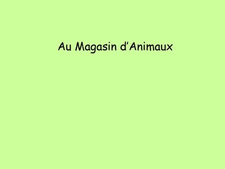 Au Magasin d’Animaux.