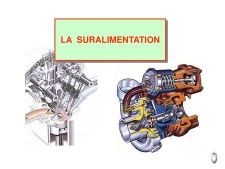 LA SURALIMENTATION.