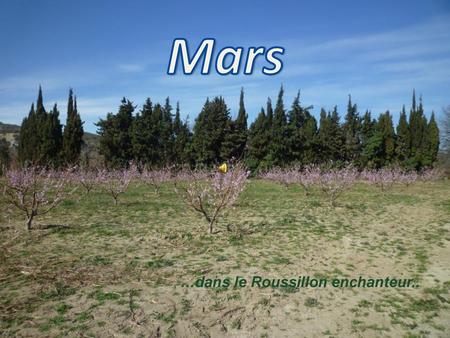 Mars …dans le Roussillon enchanteur...