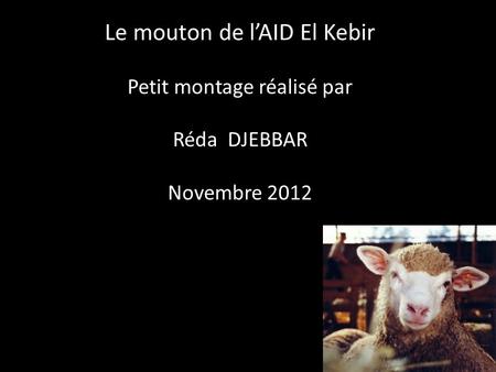 Le mouton de l’AID El Kebir