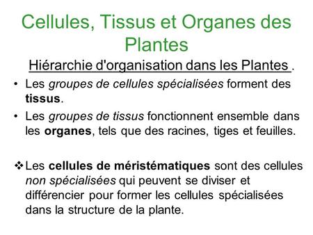 Cellules, Tissus et Organes des Plantes