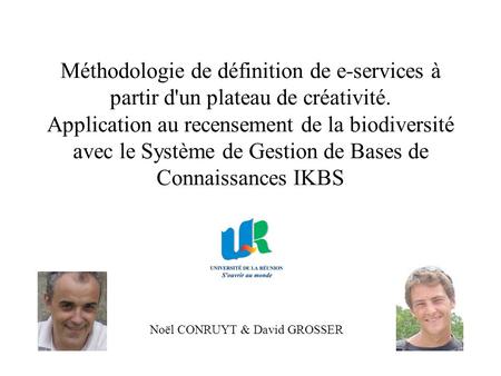 Méthodologie de définition de e-services à partir d'un plateau de créativité. Application au recensement de la biodiversité avec le Système de Gestion.