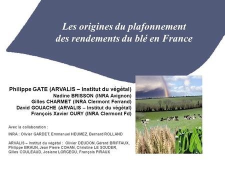 Les origines du plafonnement des rendements du blé en France