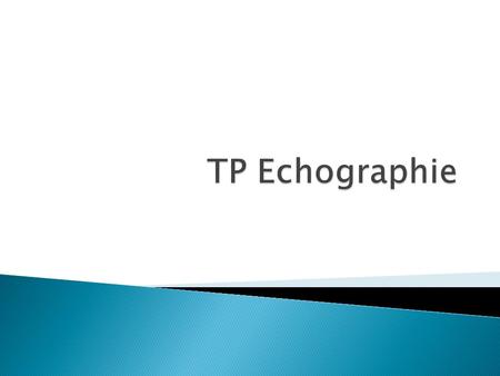 TP Echographie.