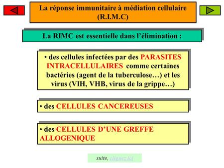 La réponse immunitaire à médiation cellulaire (R.I.M.C)