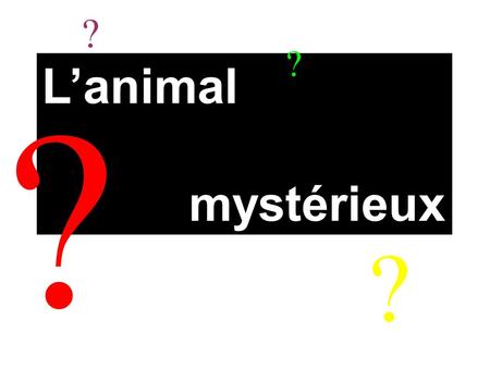 ? ? L’animal mystérieux ? ?.