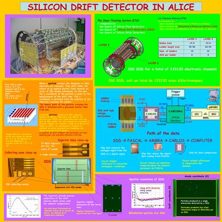 Z SILICON DRIFT DETECTOR IN ALICE When a particle crosses the thickness of SDD electrons are released. They drift under the effect of an applied electric.