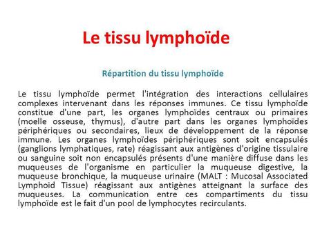 Répartition du tissu lymphoïde