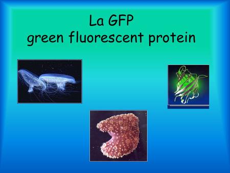 La GFP green fluorescent protein