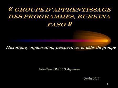 « Groupe d’apprentissage des programmes, Burkina Faso » Présenté par: DIALLO Algassimou Octobre 2013 Historique, organisation, perspectives et défis du.