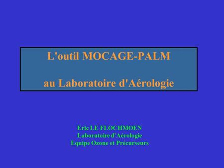 L'outil MOCAGE-PALM au Laboratoire d'Aérologie