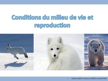 Conditions du milieu de vie et reproduction