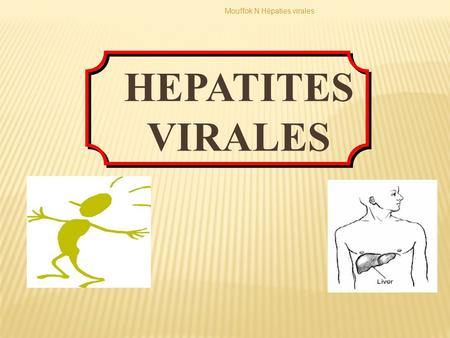 HEPATITES VIRALES Hépatites Virales Mouffok N Infectiologie CHU Oran
