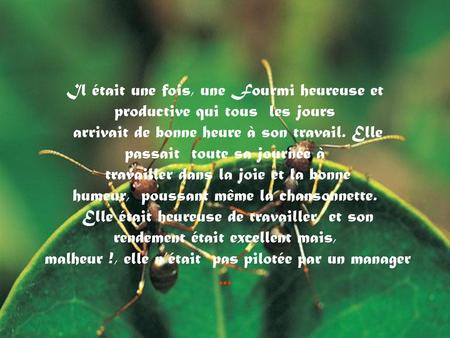 Il était une fois, une Fourmi heureuse et productive qui tous  les jours arrivait de bonne heure à son travail. Elle passait  toute sa journée à travailler.